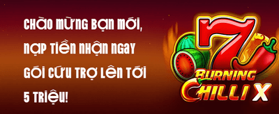 Hoàn Trả Hàng Ngày